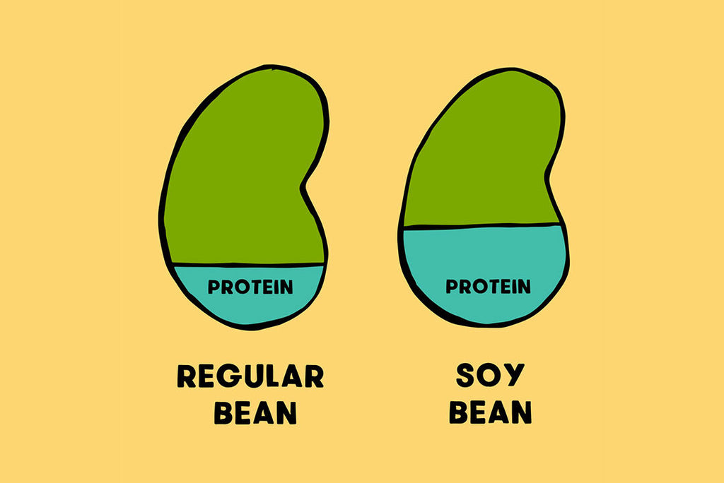 soy beans 