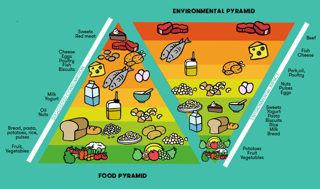 overshoot day food pyramid