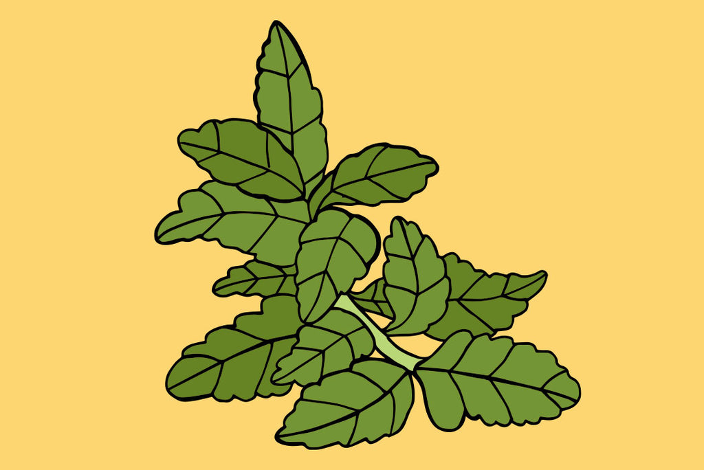 green yellow plant