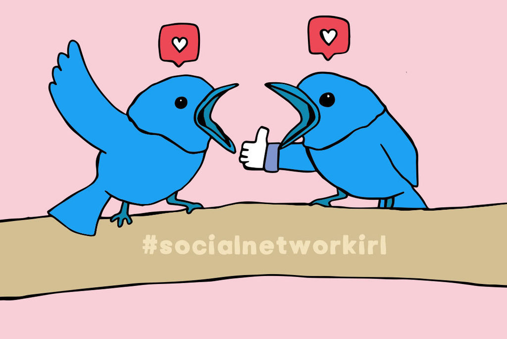 social media birds 