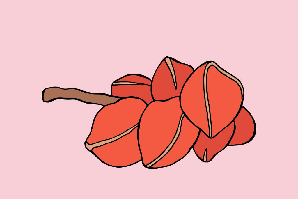 red pink fruit plant intensive sweetener 