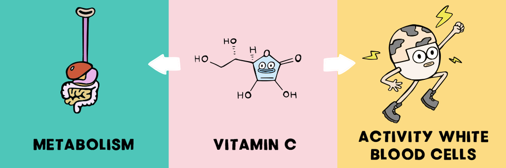 vitamin C benefits
